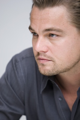 Leonardo DiCaprio Poster 2233240