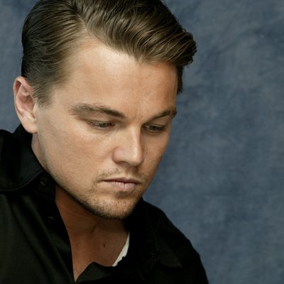 Leonardo DiCaprio Poster 2237683