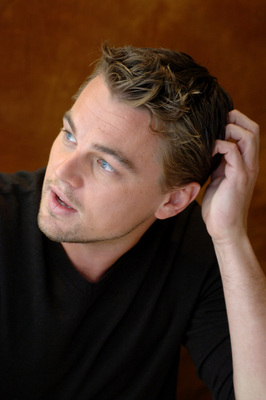 Leonardo DiCaprio Poster 2268863