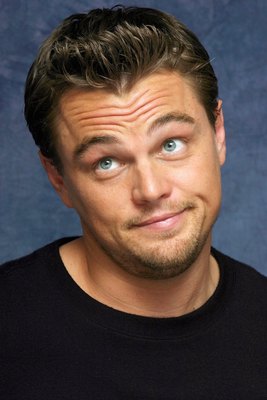 Leonardo DiCaprio Poster 2273694