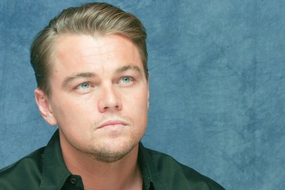 Leonardo DiCaprio Poster 2273711