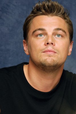 Leonardo DiCaprio Poster 2273736