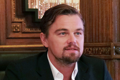 Leonardo DiCaprio Poster 2341344