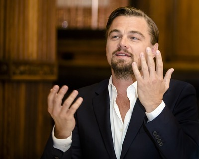 Leonardo DiCaprio Poster 2426429