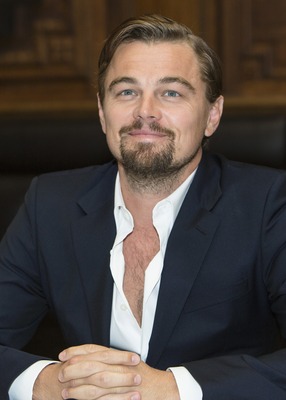 Leonardo DiCaprio Poster 2426433