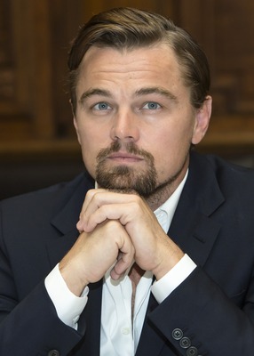 Leonardo DiCaprio Poster 2426436