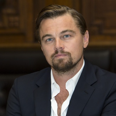 Leonardo DiCaprio Poster 2426443