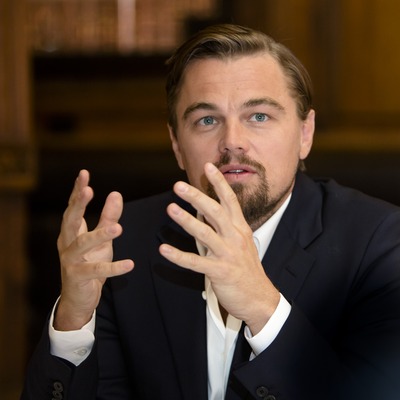 Leonardo DiCaprio Poster 2426444