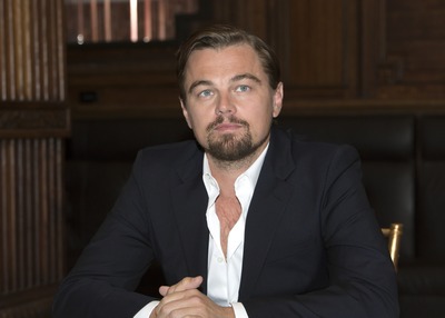 Leonardo DiCaprio Poster 2426446