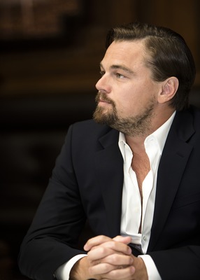 Leonardo DiCaprio Poster 2426468