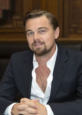 Leonardo DiCaprio Poster 2426469