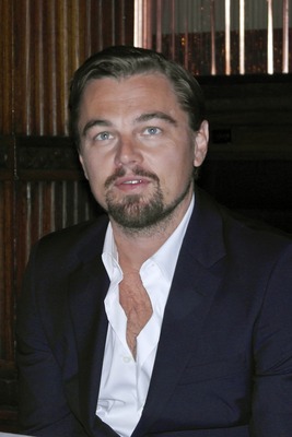Leonardo DiCaprio Poster 2439550