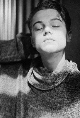 Leonardo DiCaprio Poster 2586309