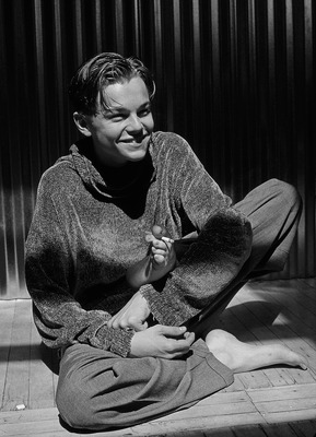 Leonardo DiCaprio Poster 2586311