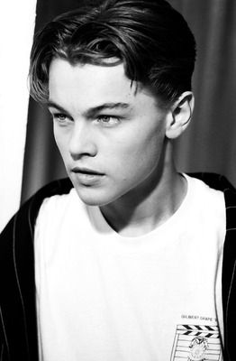 Leonardo DiCaprio Poster 2586312