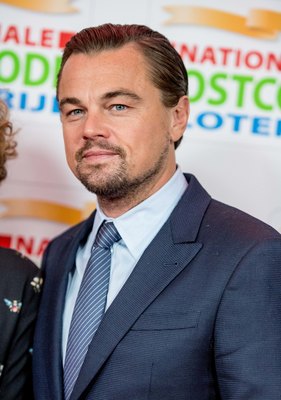 Leonardo Dicaprio Poster 3063189