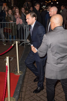 Leonardo Dicaprio Poster 3063191