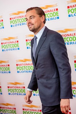 Leonardo Dicaprio Poster 3063193