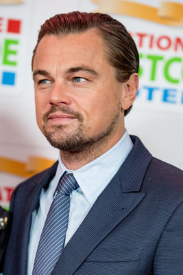 Leonardo Dicaprio Poster 3063194