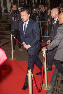 Leonardo Dicaprio Poster 3063202