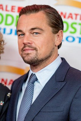 Leonardo Dicaprio Poster 3063203