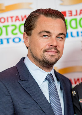 Leonardo Dicaprio Poster 3063206
