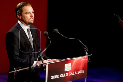 Leonardo Dicaprio Poster 3063212