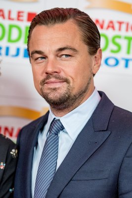 Leonardo Dicaprio Poster 3063219