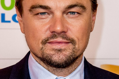 Leonardo Dicaprio Poster 3063225