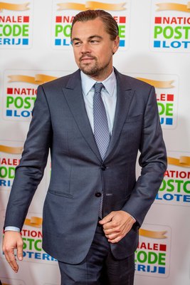 Leonardo Dicaprio Poster 3063230