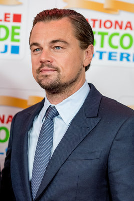 Leonardo Dicaprio Poster 3063237