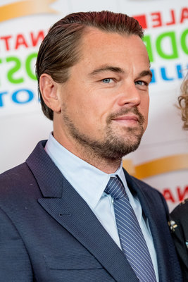 Leonardo Dicaprio Poster 3063240