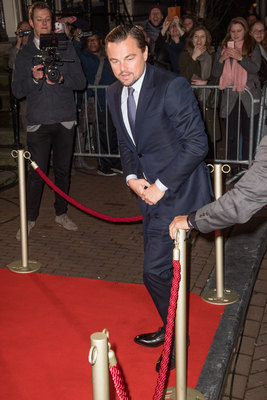 Leonardo Dicaprio Poster 3063248