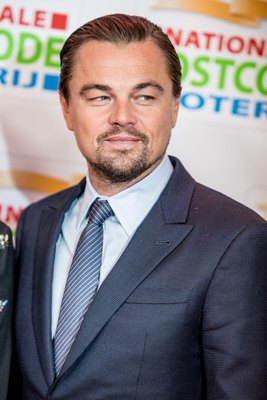 Leonardo Dicaprio Poster 3063251