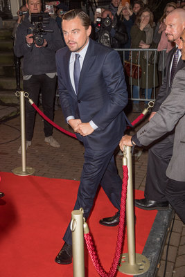 Leonardo Dicaprio Poster 3063255