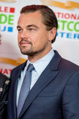 Leonardo Dicaprio Poster 3063256