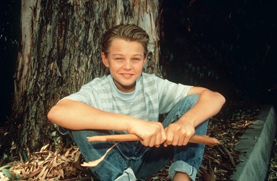 Leonardo Dicaprio Poster 3118280