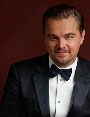 Leonardo Dicaprio Poster 3675765