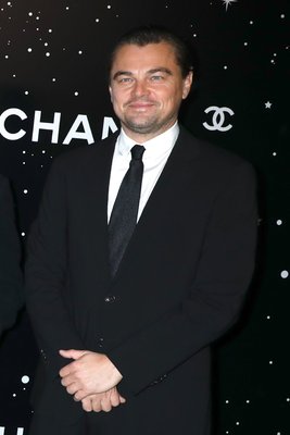 Leonardo Dicaprio Poster 3762069