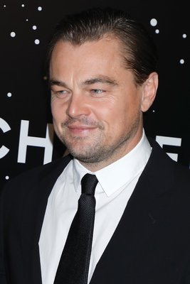 Leonardo Dicaprio Poster 3762070