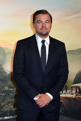 Leonardo Dicaprio Poster 3862517