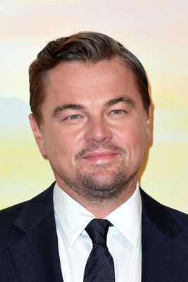 Leonardo Dicaprio Poster 3862518