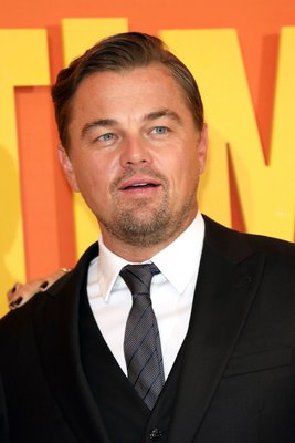 Leonardo Dicaprio Poster 3885942
