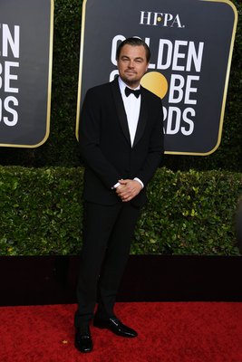 Leonardo Dicaprio Poster 3932474
