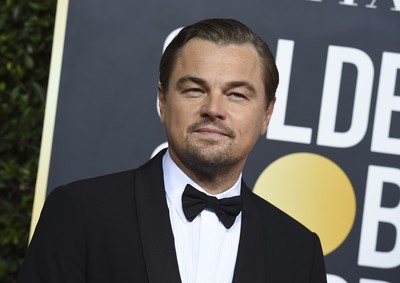 Leonardo Dicaprio Poster 3932476
