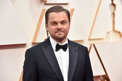 Leonardo Dicaprio Poster 3932477