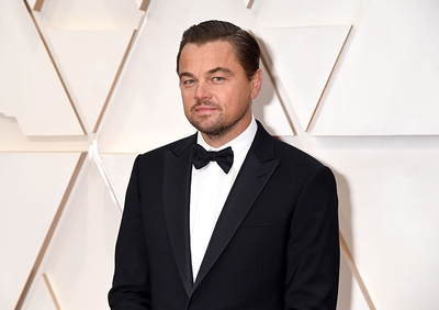 Leonardo Dicaprio Poster 3932479
