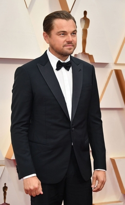 Leonardo Dicaprio Poster 3932480
