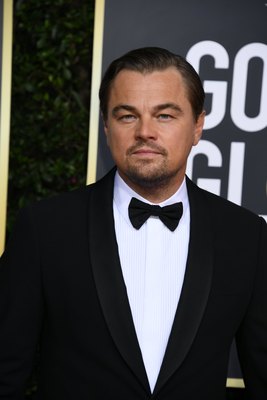 Leonardo Dicaprio Poster 3932484