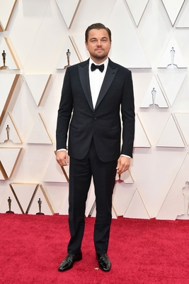 Leonardo Dicaprio Poster 3932485